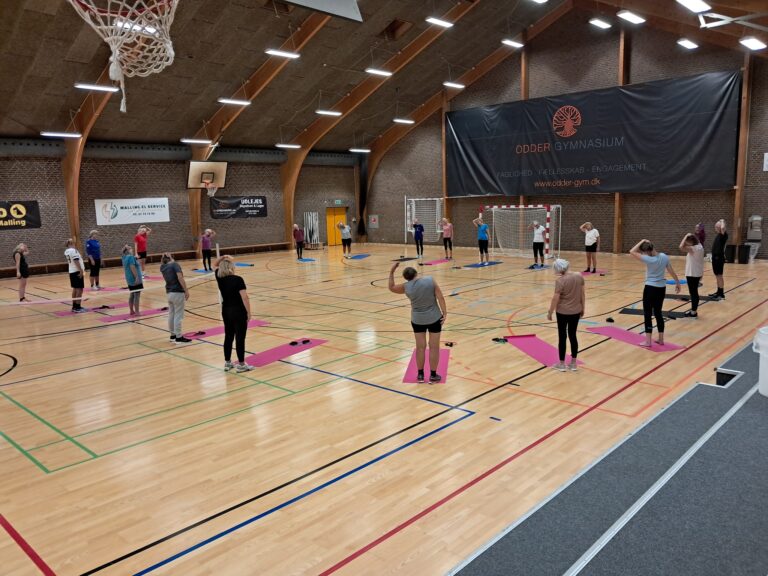 539458894_10240413122975453_8012551515750610829_n